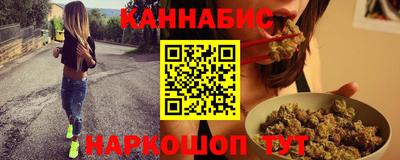 СК Гатчина