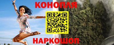 СК Гатчина