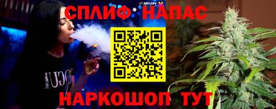 мдпв Гагарин