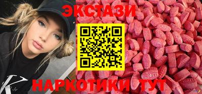 СК Гатчина