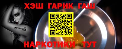 СК Гатчина