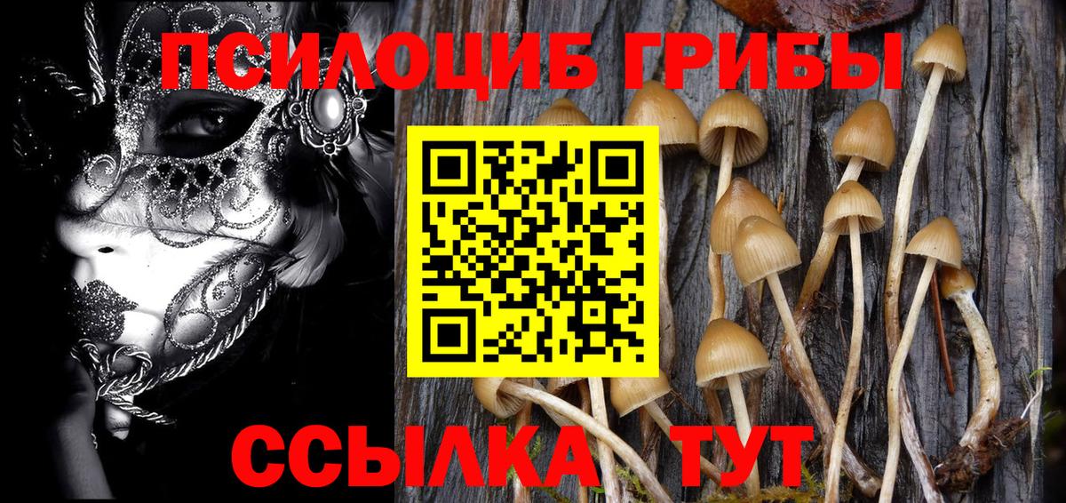 Псилоцибиновые грибы MAGIC MUSHROOMS  Подольск 