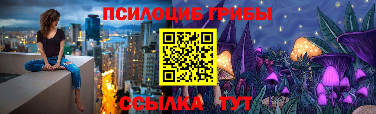 Галлюциногенные грибы GOLDEN TEACHER Подольск