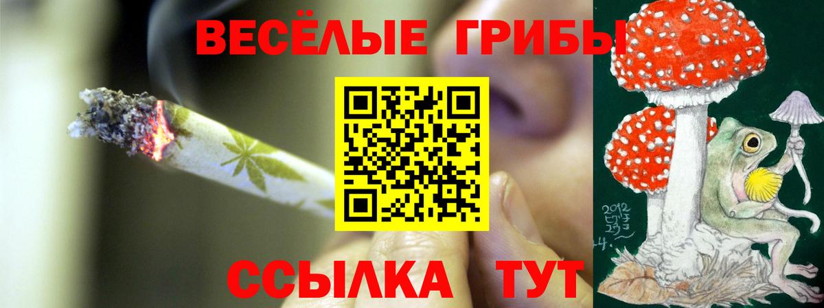 Псилоцибиновые грибы прущие грибы  Вход с VPN  Подольск 